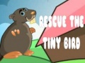 ເກມ Rescue The Tiny Bird