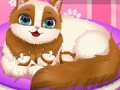 ເກມ Cute Kitty Pregnant