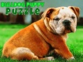 ເກມ Bulldog Puppy Puzzle