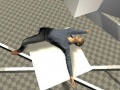 ເກມ Ragdoll Test