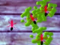 ເກມ Smash Ants