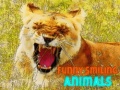 ເກມ Funny Smiling Animals