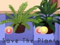ເກມ Save the Plants
