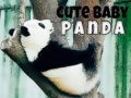 ເກມ Cute Baby Panda
