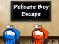 ເກມ Delicate Boy Escape