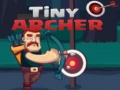 ເກມ Tiny Archer