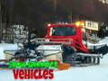 ເກມ Snow Groomer Vehicles