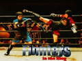 ເກມ Fighters in the Ring