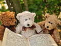 ເກມ Cuddly Three Teddy Jigsaw