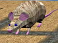 ເກມ Mouse Race Islands