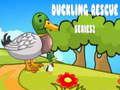 ເກມ Duckling Rescue Series2