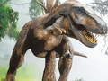 ເກມ Tyrannosaurus Rex Carnivore Jigsaw