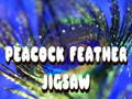 ເກມ Peacock Feather Jigsaw