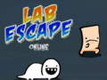 ເກມ Lab Escape Online