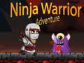 ເກມ Ninja Warrior Adventure