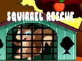 ເກມ Squirrel Rescue