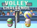 ເກມ Volley Challenge