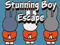 ເກມ Stunning Boy Escape