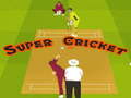 ເກມ Super Cricket 