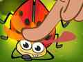 ເກມ Insect Crush