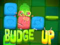 ເກມ Budge Up
