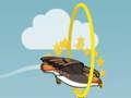 ເກມ Flying bird