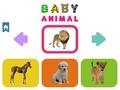 ເກມ Baby Animal