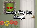 ເກມ Lovely Tiny Boy Escape