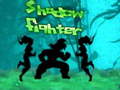 ເກມ Shadow Fighter
