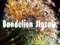 ເກມ Dandelion Jigsaw