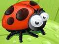 ເກມ Ladybug Slide