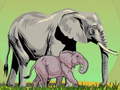 ເກມ Wild Animals and Their Babies