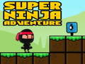 ເກມ Super Adventure Ninja