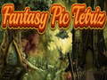 ເກມ Fantasy Pic Tetriz