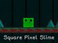 ເກມ Square Pixel Slime