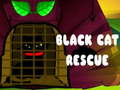 ເກມ Black Cat Rescue