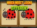 ເກມ Which Insect Looks Different