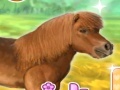 ເກມ My Dear Pony