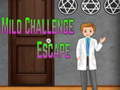 ເກມ Amgel Mild Challenge Escape