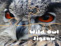ເກມ Wild owl Jigsaw