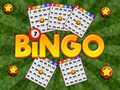 ເກມ Bingo Revealed