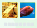 ເກມ Picword