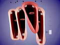 ເກມ Funny Chorus