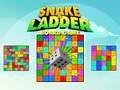 ເກມ Snake and Ladder Board Game