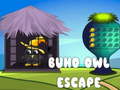 ເກມ Buho Owl Escape