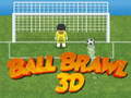 ເກມ Ball Brawl 3D