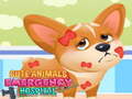 ເກມ Cute Animals Emergency Hospital