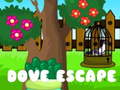 ເກມ Dove Escape