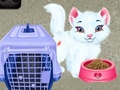 ເກມ Baby Taylor Pet Care