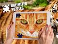 ເກມ Unlimited Puzzles